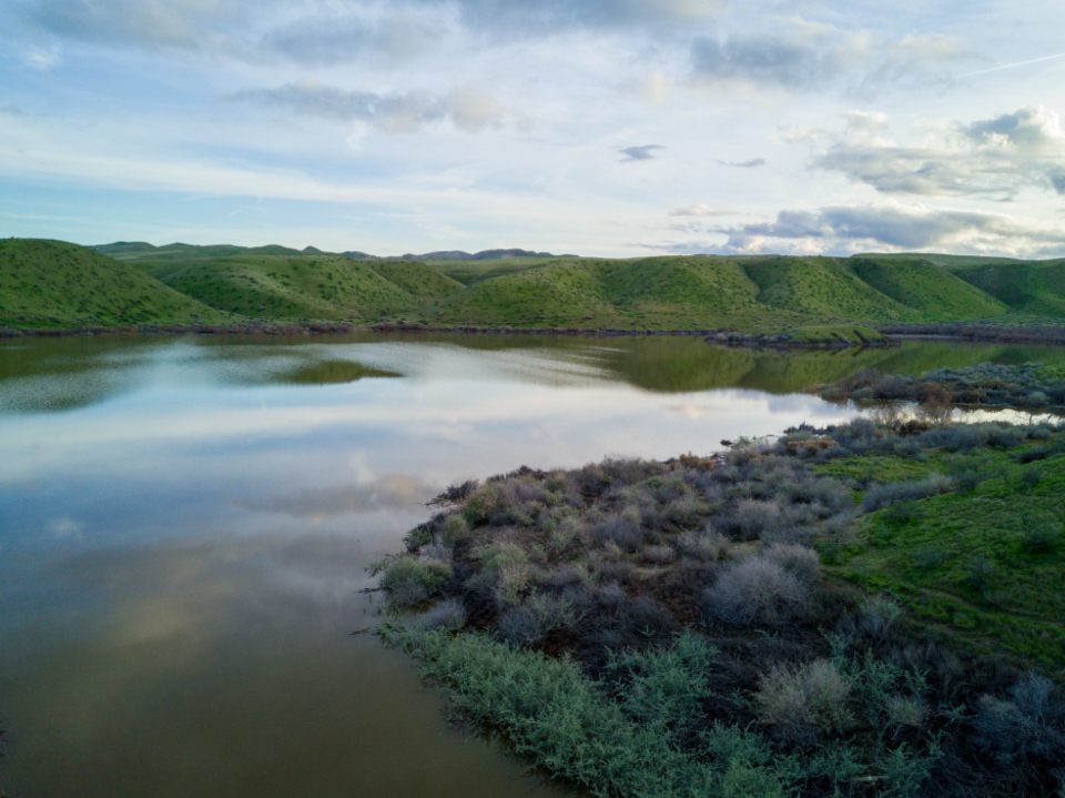 River Landscape