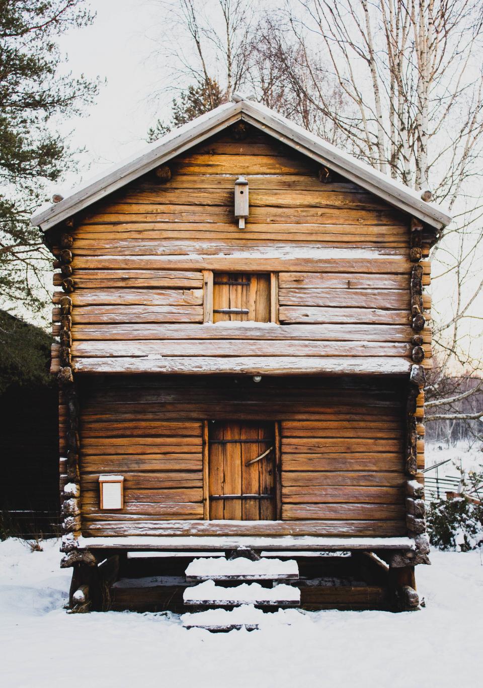 Snow Winter