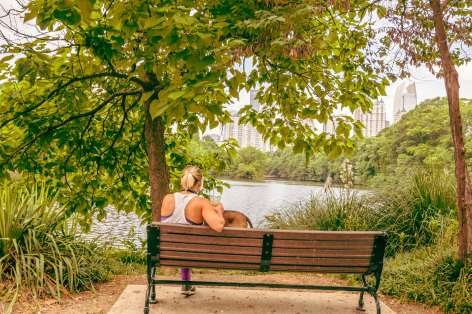 Person Bench