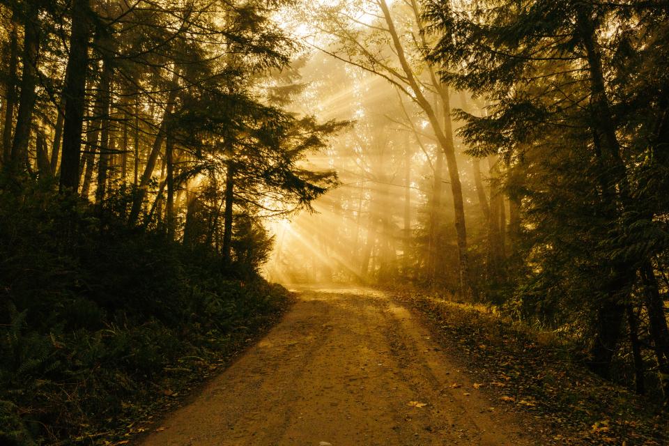 Dirt Road