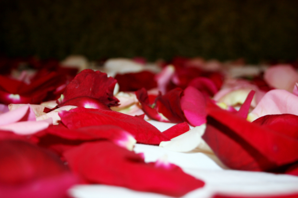 Petal Romantic