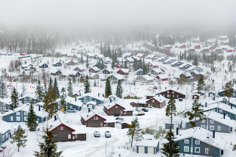 Snow Winter