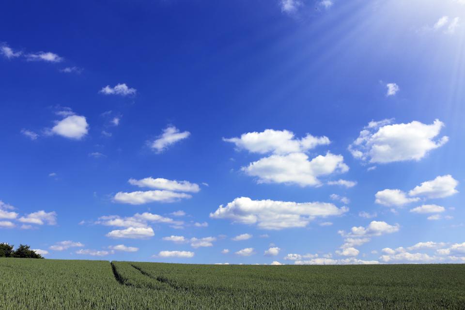 Blue Sky
