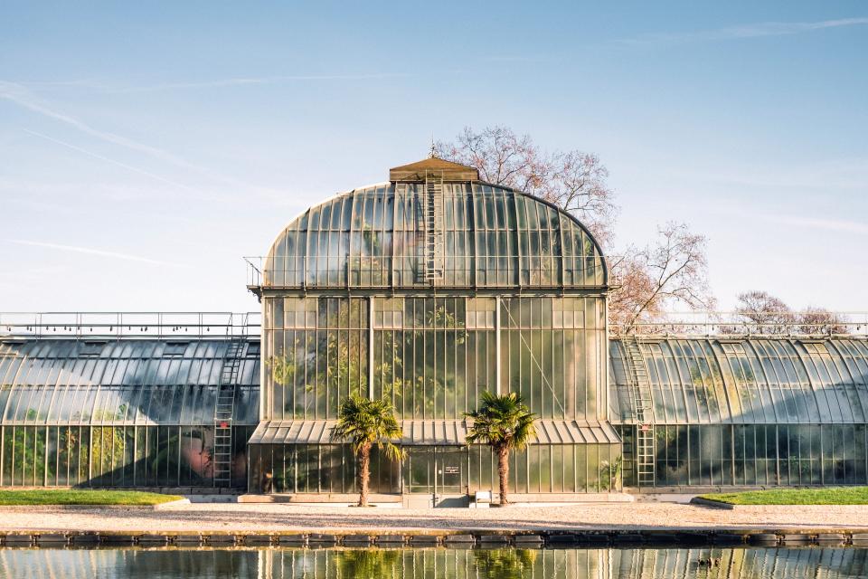 Greenhouse Plants