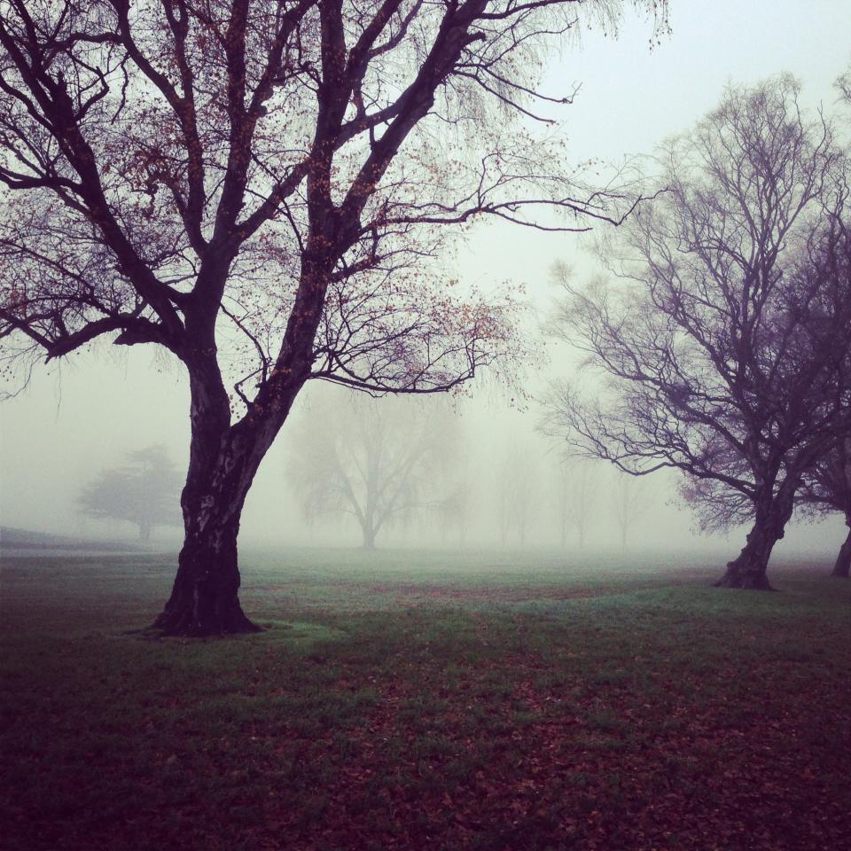 Fog Hazy