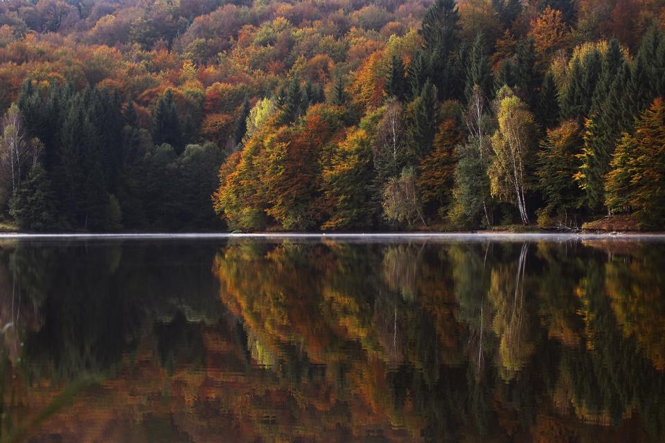 Lake Water