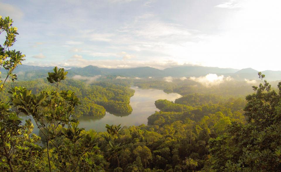 Nature Landscape