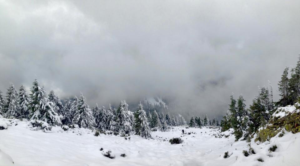 Snow Winter