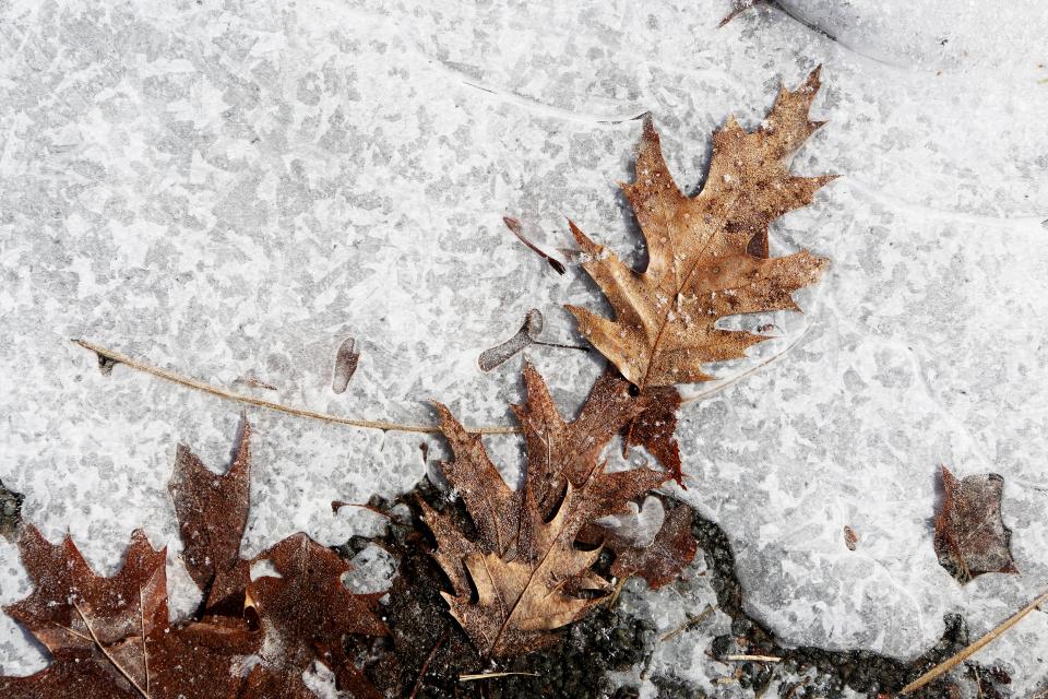 Ice Snow