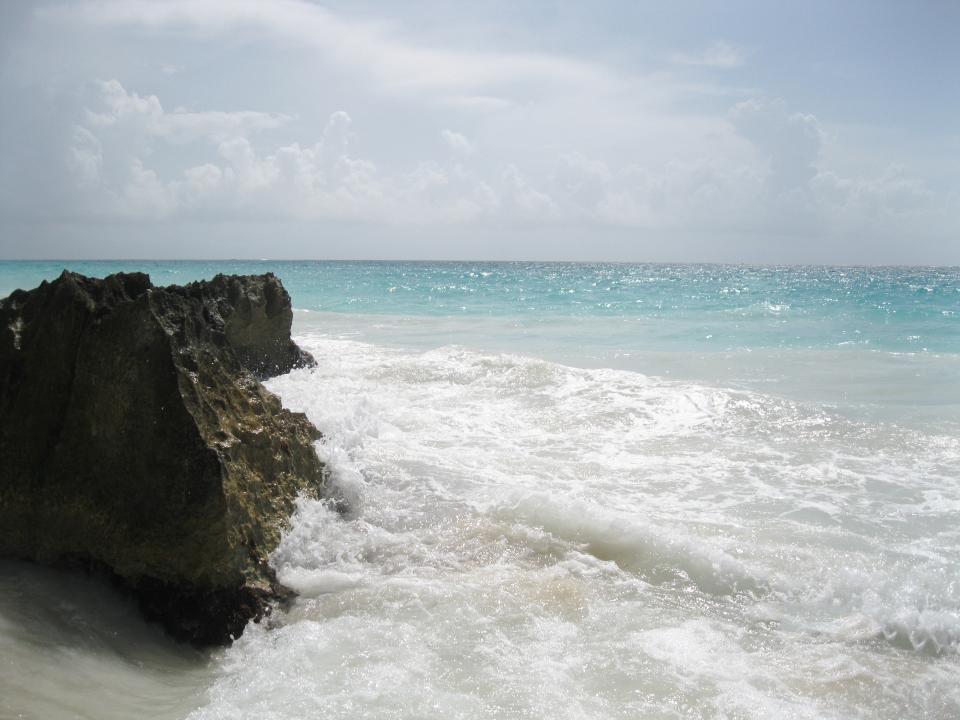 Sea Ocean