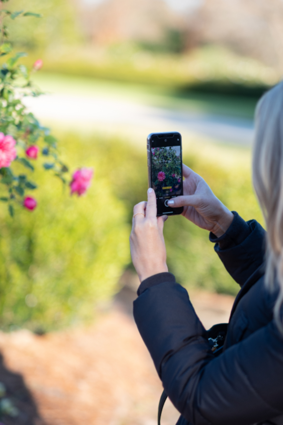 Person Smartphone