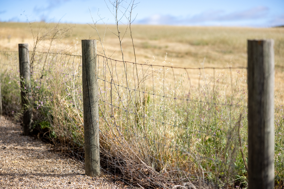 Fence Post