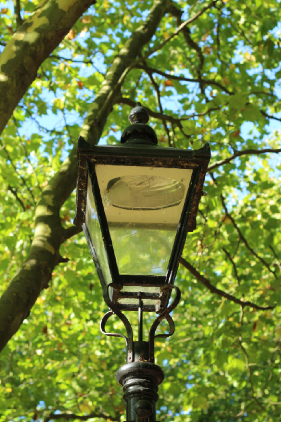 Light Lamp