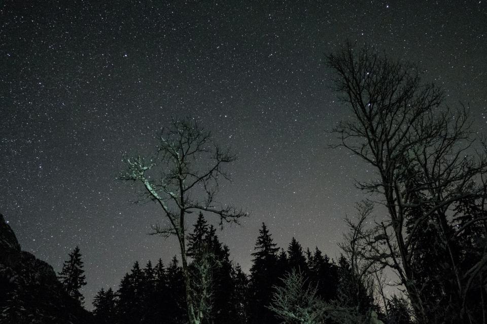 Night Dark