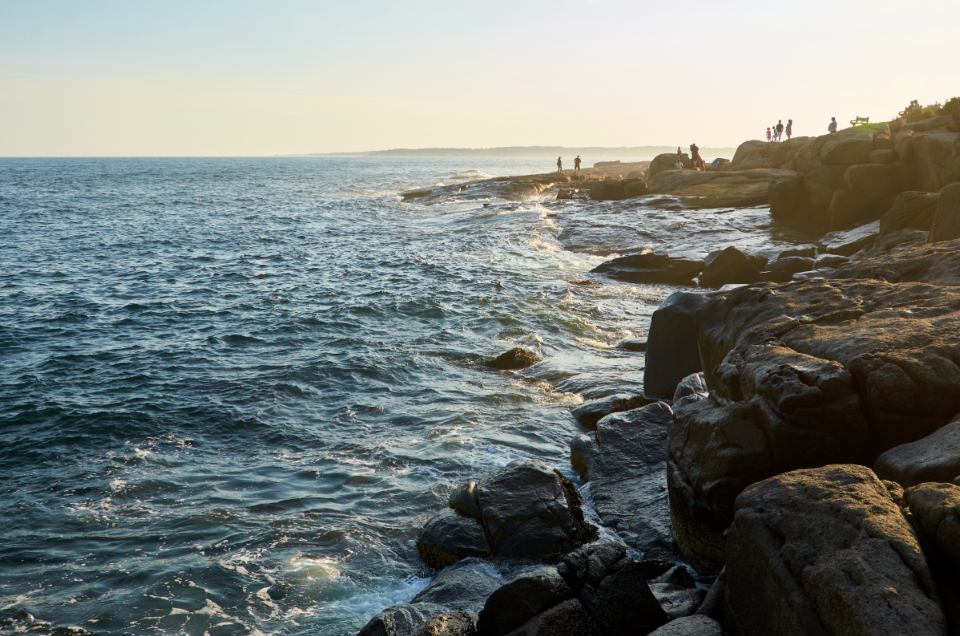 Ocean Waves