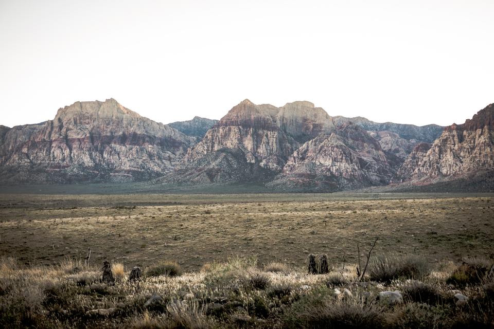 Nature Landscape