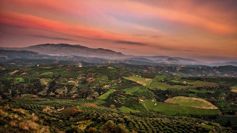 Green Fields