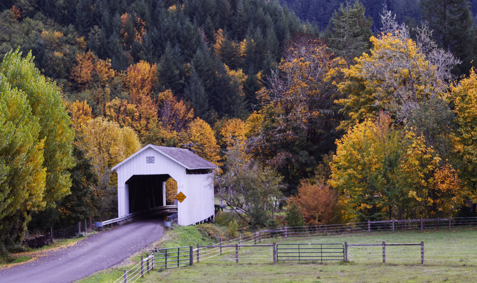 Covered Bridge