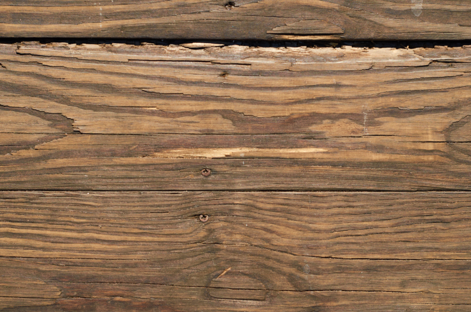 Rustic Wood