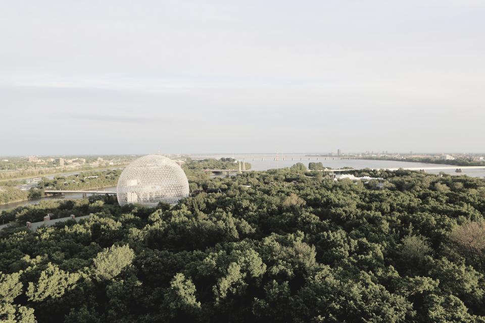 Biosphere Landscape