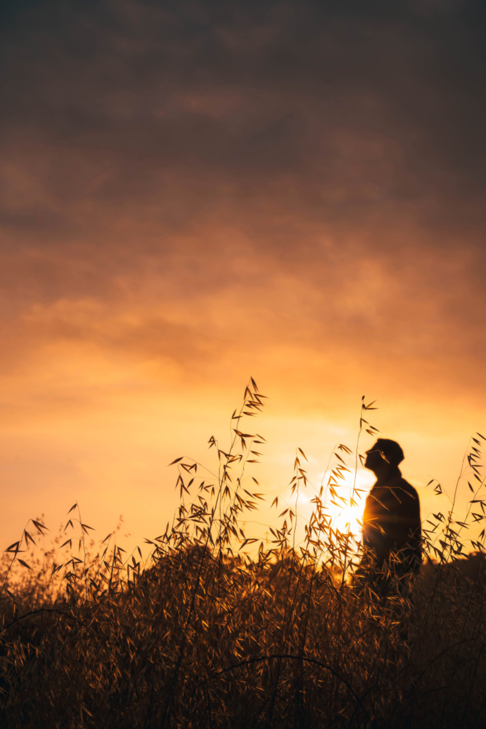 Sunset Silhouette