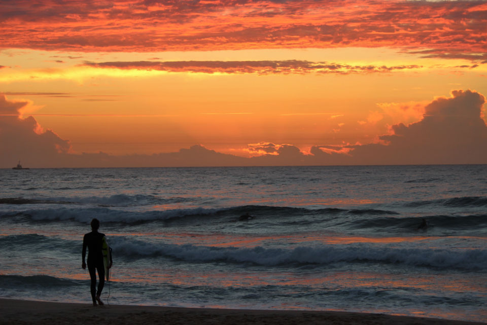 Surfer Water