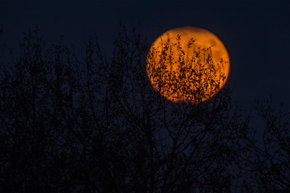 Moon Circle