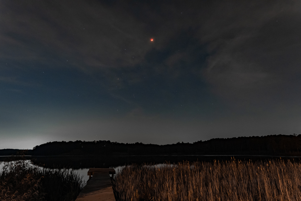 Night Starry