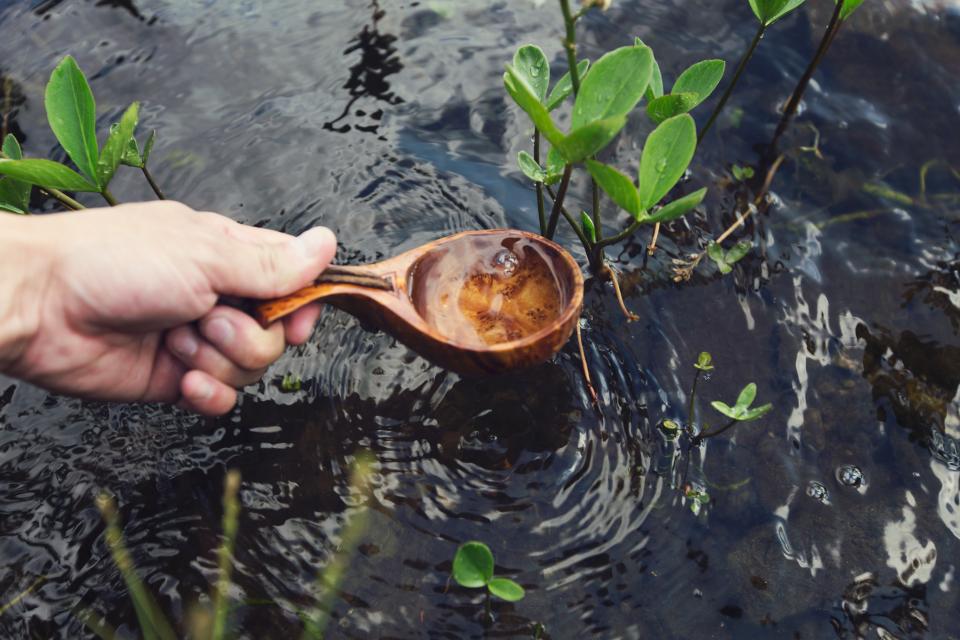 Wooden Spoon