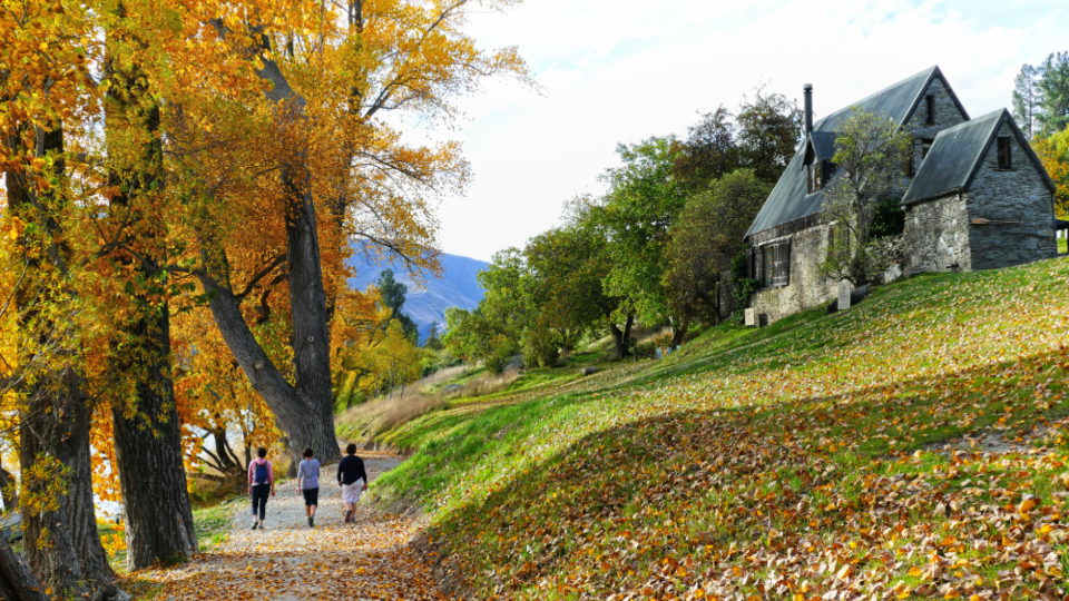Autumn Landscape