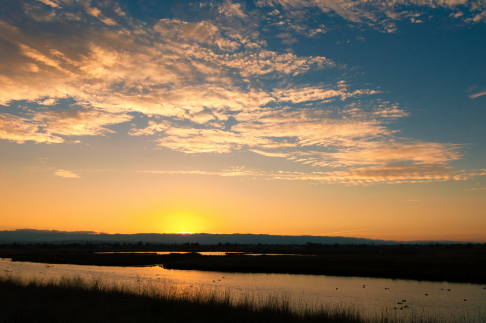 Sunset Gold