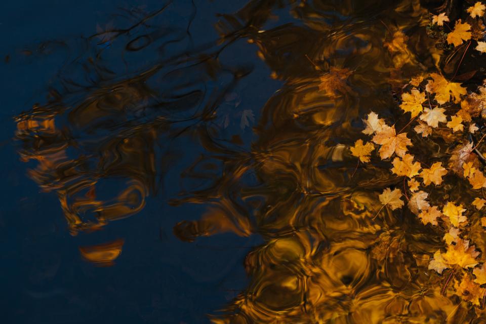 Blue Water