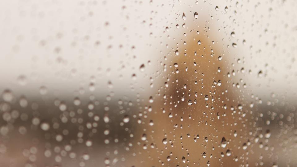 Rain Drops