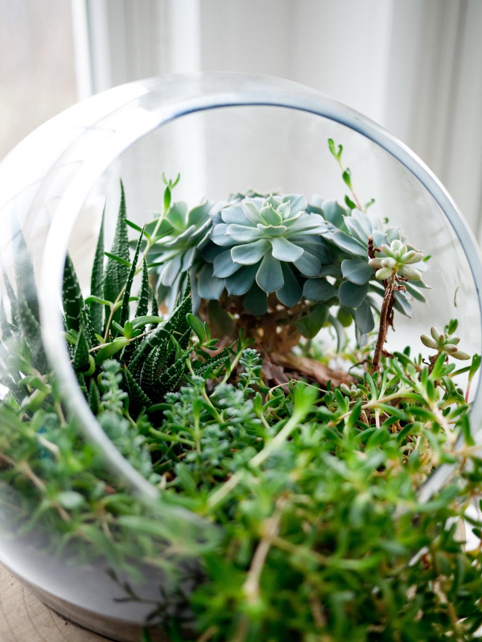 Glass Bowl