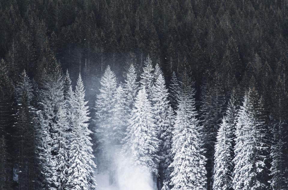 Nature Landscape