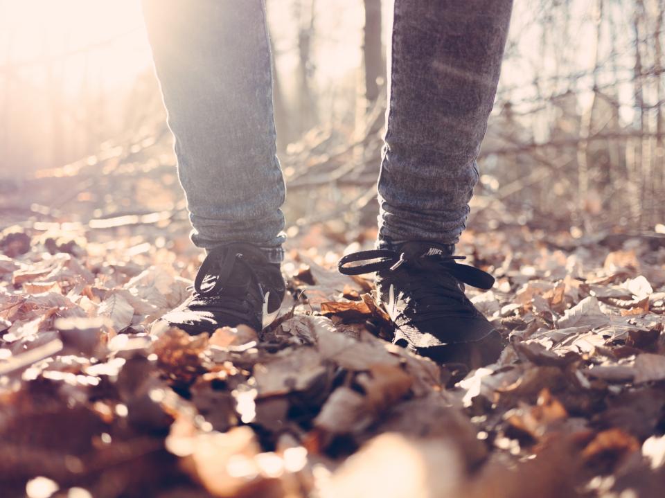 Leaf Fall