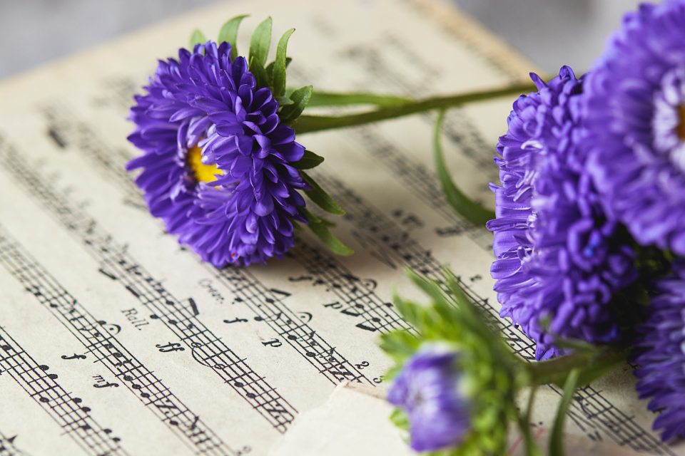 Music Sheet