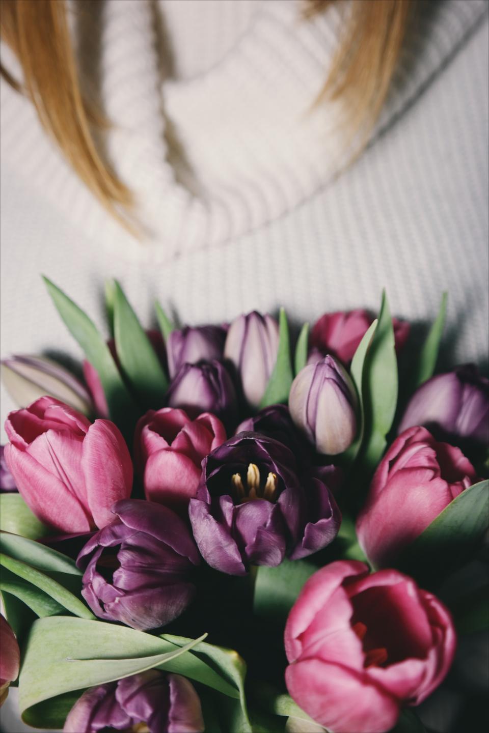 Flower Pink