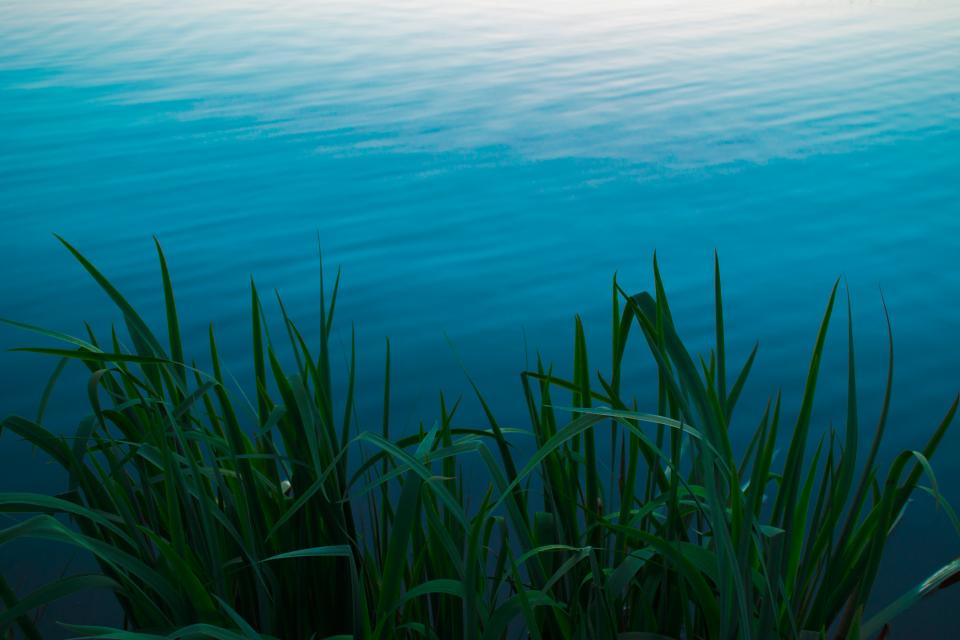 Lake Blue