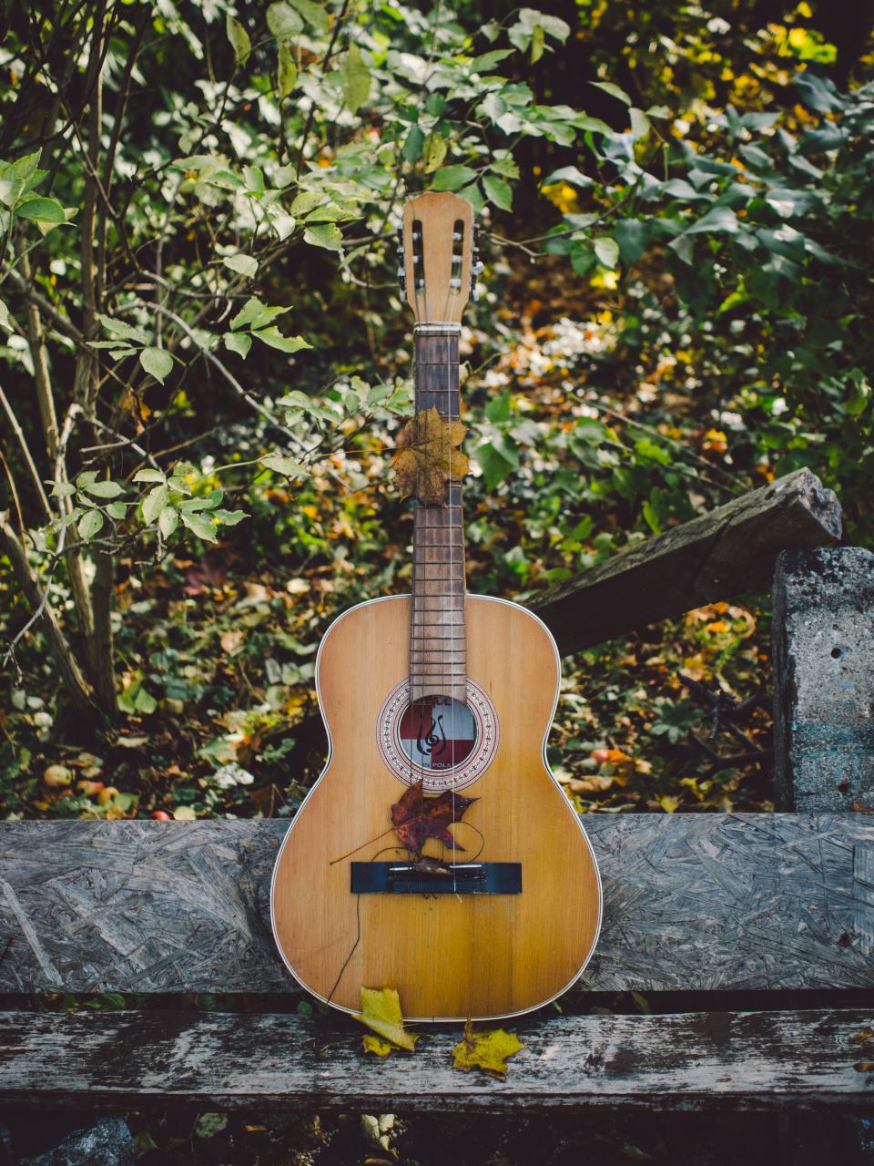 Acoustic Guitar