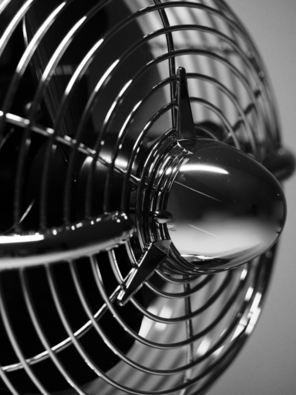 Vinatage Fan