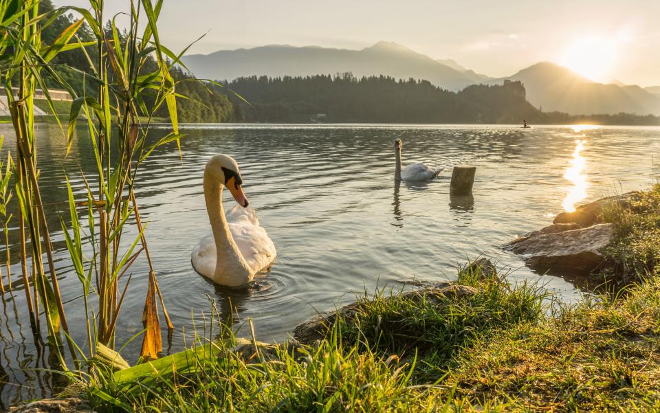 Nature Landscape