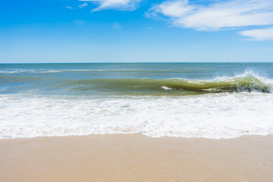 Beach Sand
