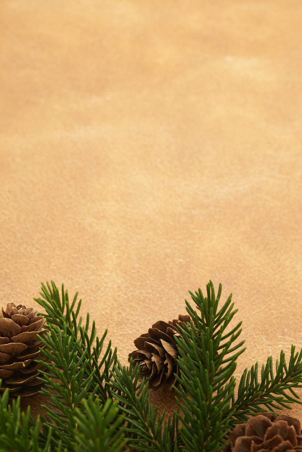 Seasonal Backgrounds