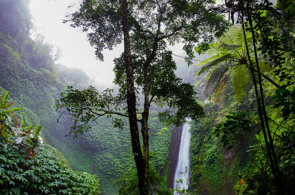 Waterfall Green