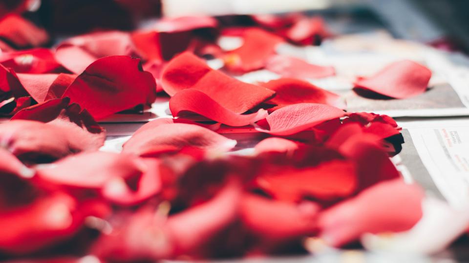 Red Petals