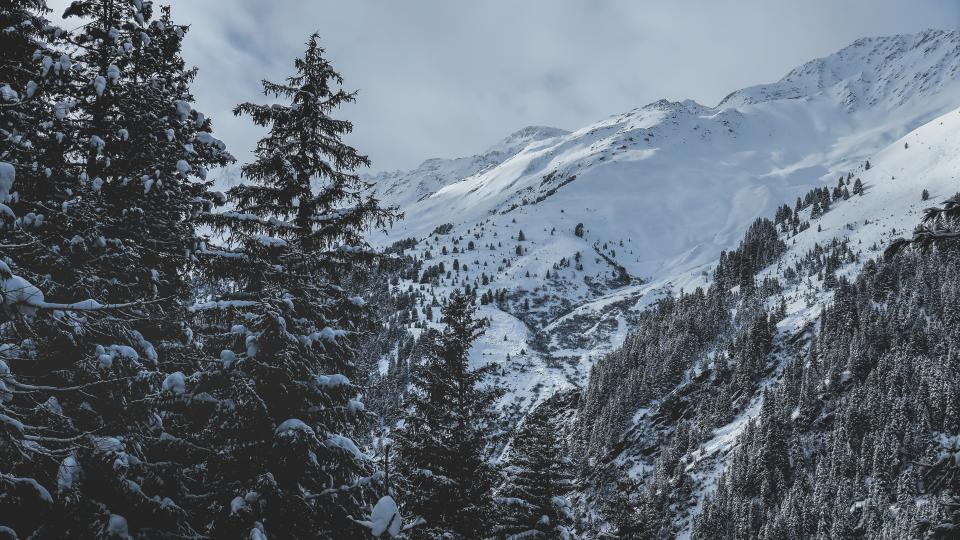 Snow Winter