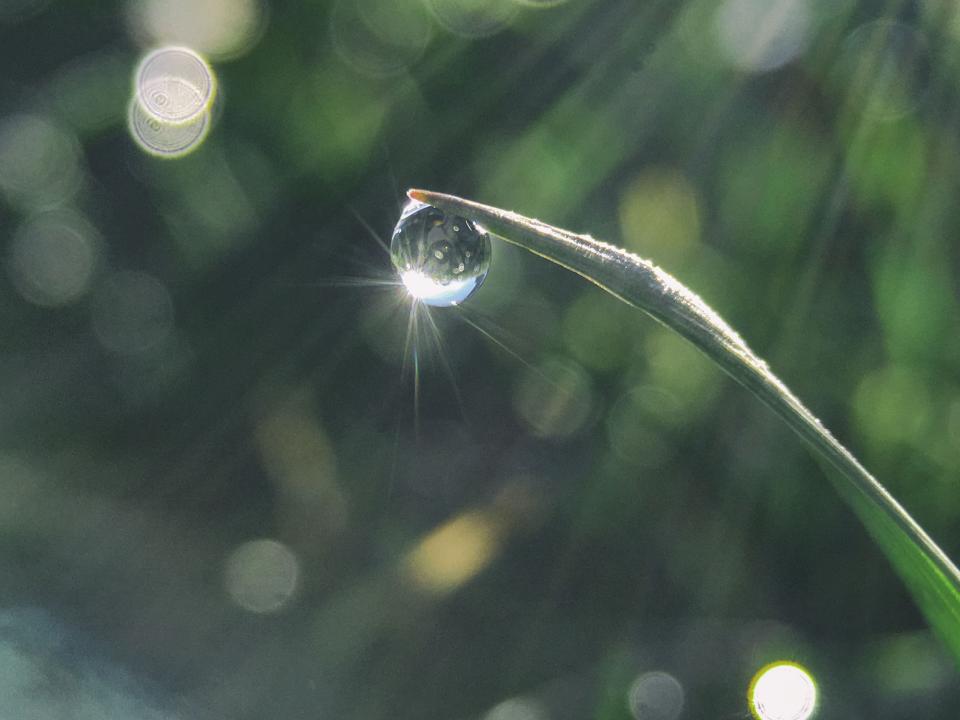 Water Drop