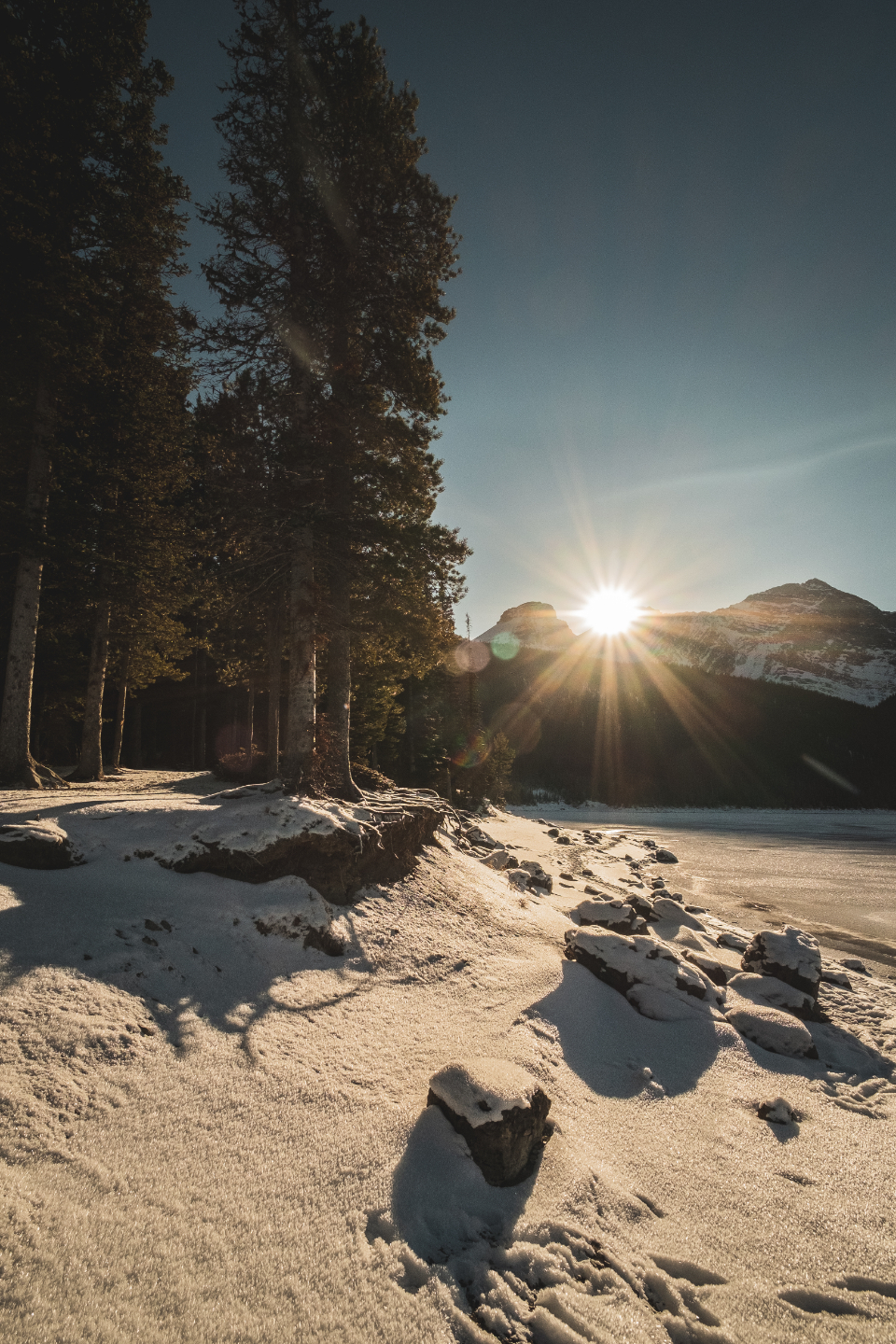 Winter Landscape