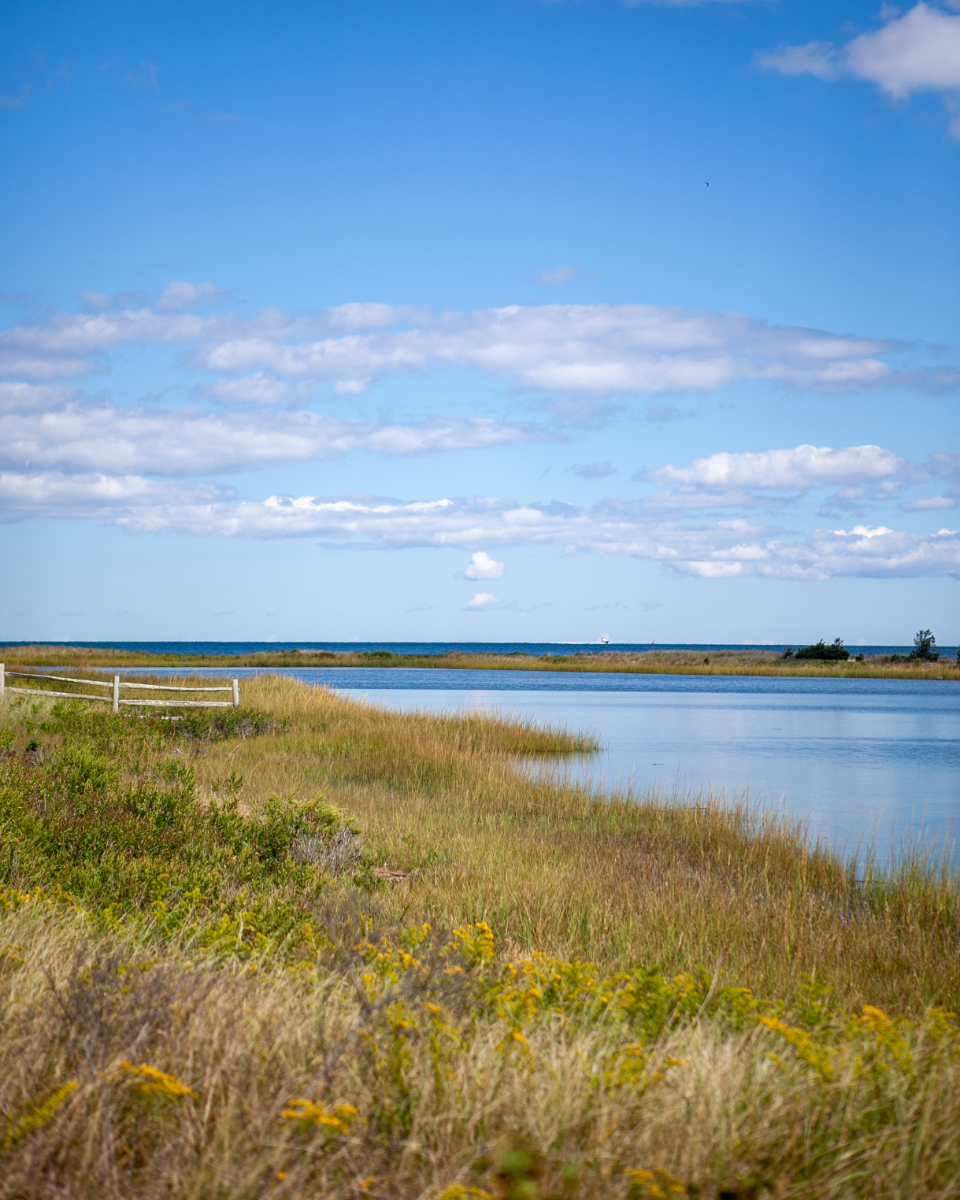 Coastal Landscape